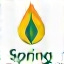 Логотип Spring